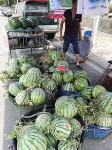 菏泽郓城吃瓜最新事件爆料,最新爆料揭示惊人内幕